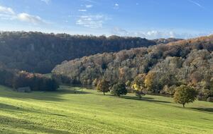 Bicknor Court - Coleford, United Kingdom