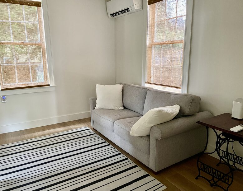 Den with sleeper sofa