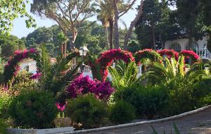 Villa Sea Orchid