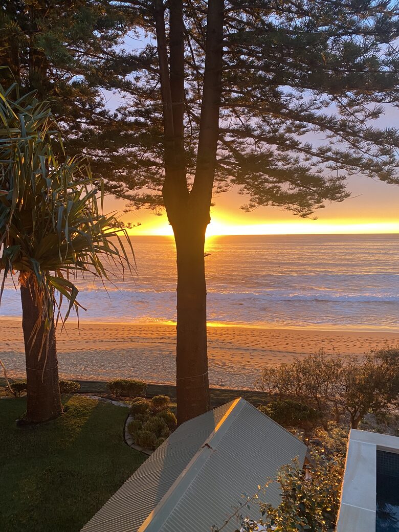 Between the Pines - Sydney, Australia