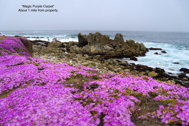 Ocean View Victorian Beauty - Pacific Grove, California