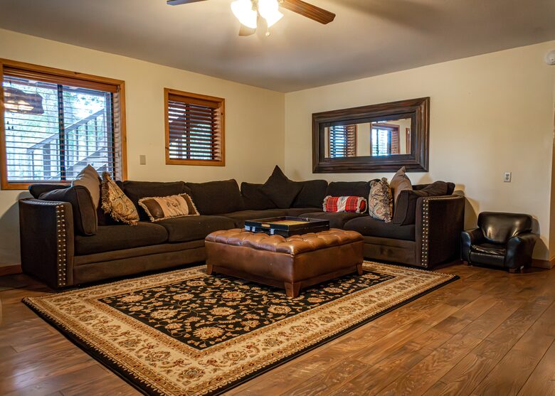 Lower Level Living Room