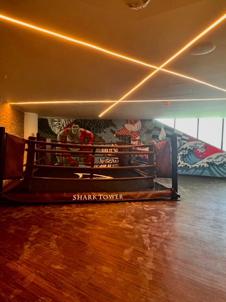 Box ring in the Gym