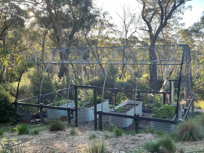 W I L D A C R E S Luxe Lodge on 40 Acres in the UNESCO World Heritage Blue Mountains - Blackheath, Australia