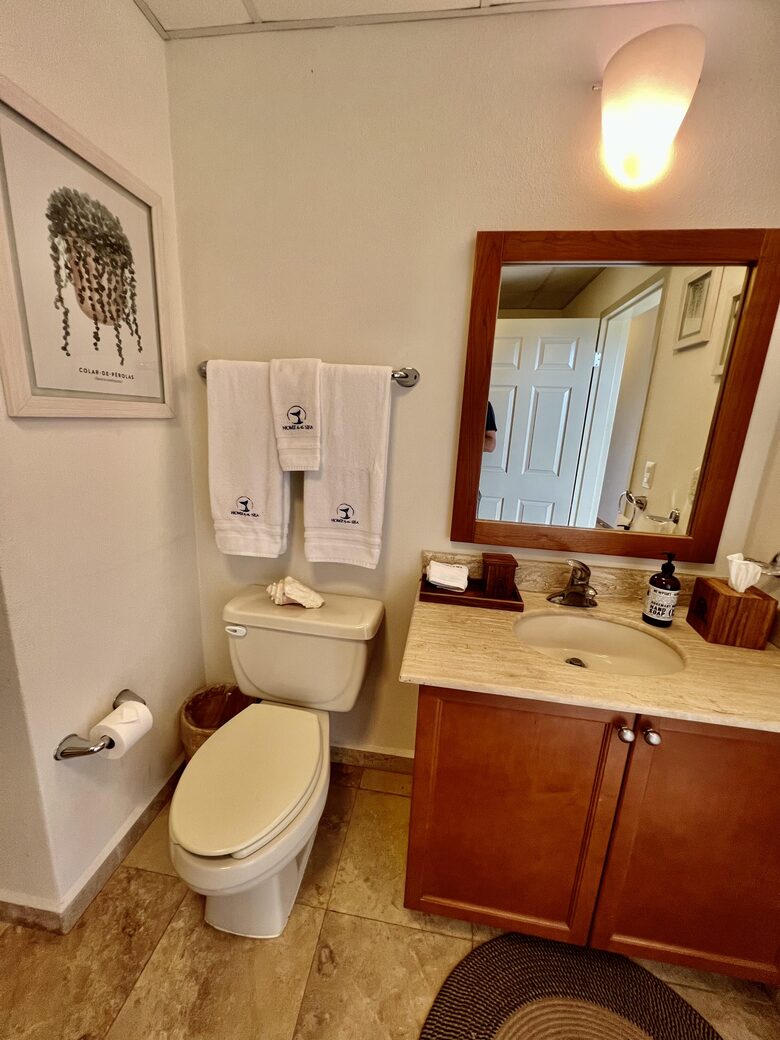Second Bathdroom with shower