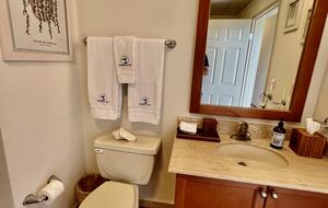 Second Bathdroom with shower