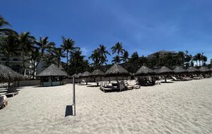 Palapa Area