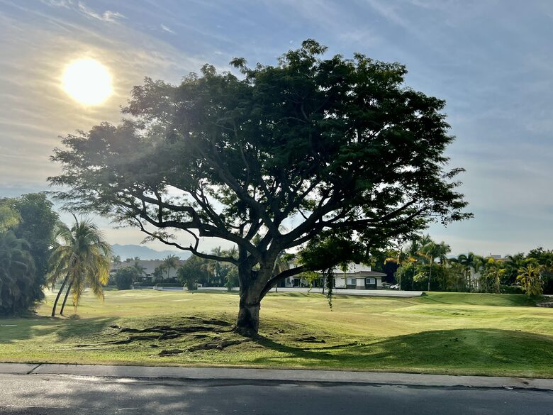 El Trigre Golf Course (Fee not included)