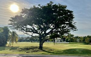 El Trigre Golf Course (Fee not included)