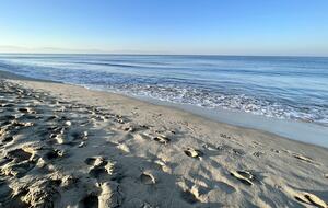 The outside Beach