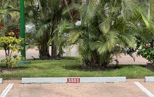 Exclusive Parking Place