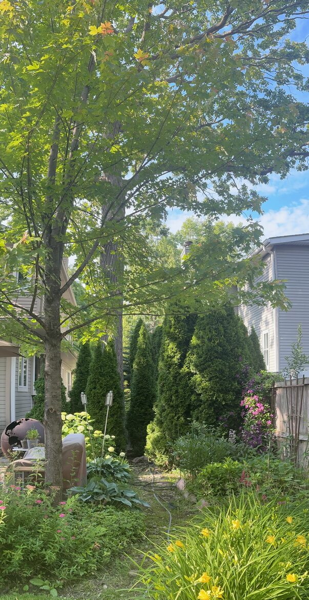 Winnetka Home | Close to Village Shops, Parks, Beach and Train - Winnetka, Illinois