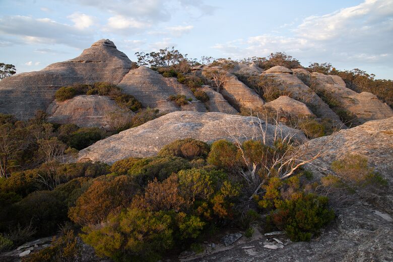 Wondernest - Blackheath, Australia