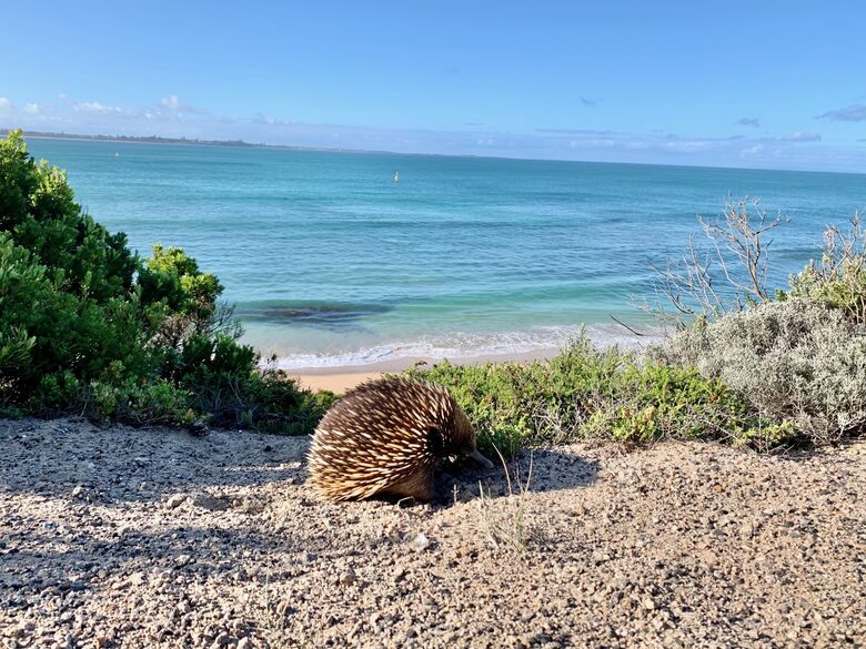 Portsea Getaway - Portsea, Australia