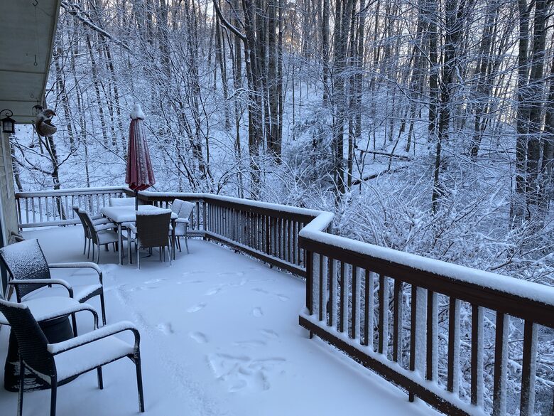 Beautiful Mountain Retreat | 10 minutes to Downtown Asheville - Asheville, North Carolina