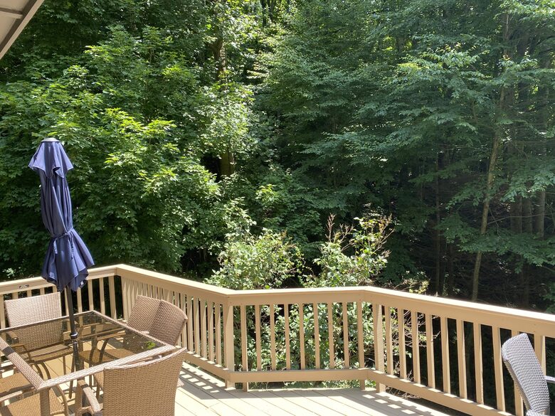 Beautiful Mountain Retreat | 10 minutes to Downtown Asheville - Asheville, North Carolina