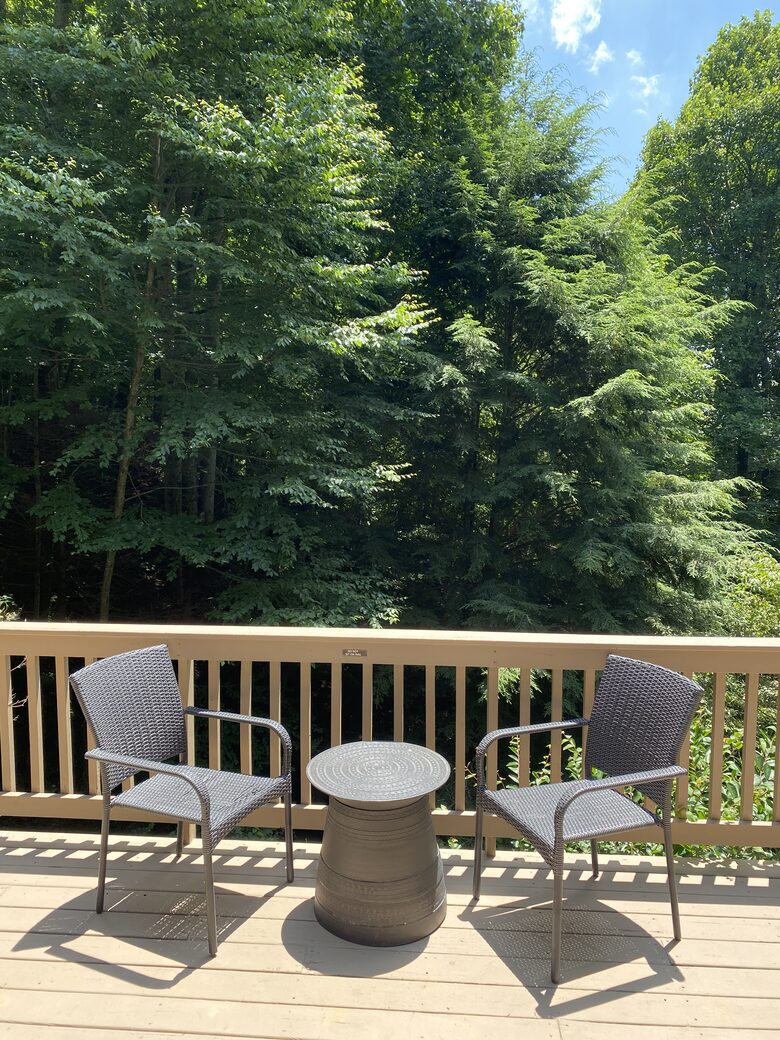 Beautiful Mountain Retreat | 10 minutes to Downtown Asheville - Asheville, North Carolina