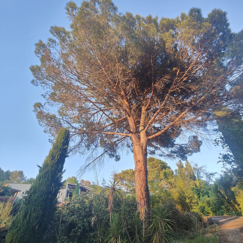 Villa Lou Calen | France Riviera - Mouans-Sartoux, France