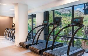 Ski-In/Ski-Out Residence At One Snowmass West - Snowmass Village, Colorado
