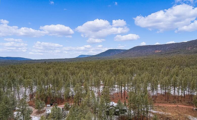 Pine Ridge Mountain Escape - Payson, Arizona