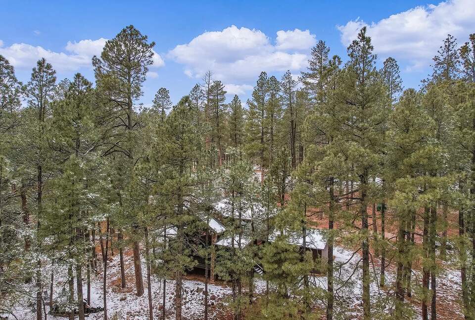Pine Ridge Mountain Escape - Payson, Arizona
