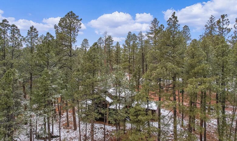 Pine Ridge Mountain Escape - Payson, Arizona