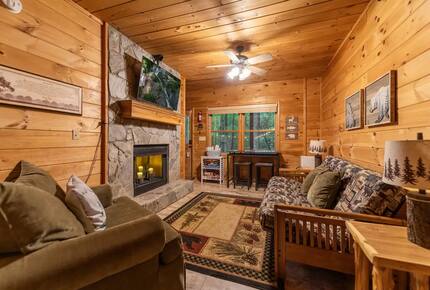Bear Holler - Cherry Log, Georgia