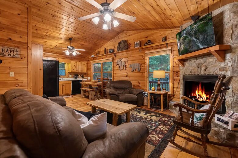 Bear Holler - Cherry Log, Georgia