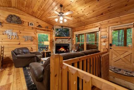 Bear Holler - Cherry Log, Georgia