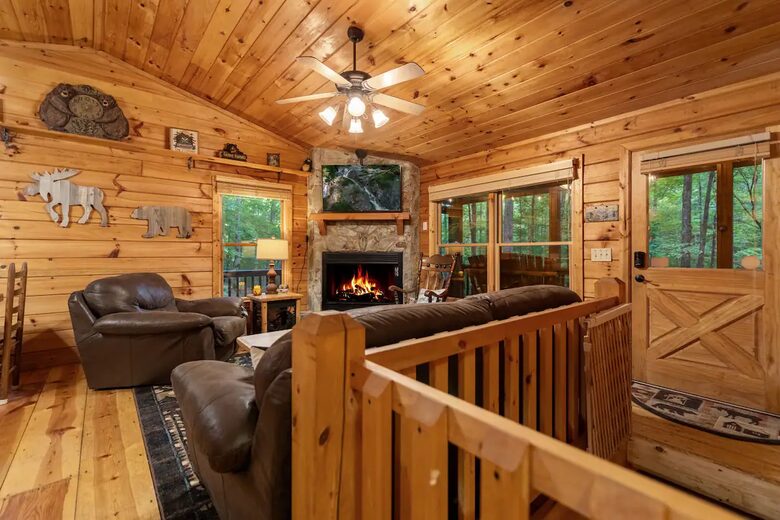 Bear Holler - Cherry Log, Georgia