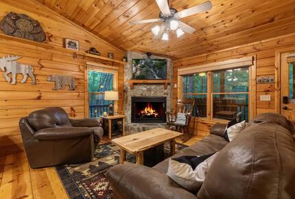 Bear Holler - Cherry Log, Georgia