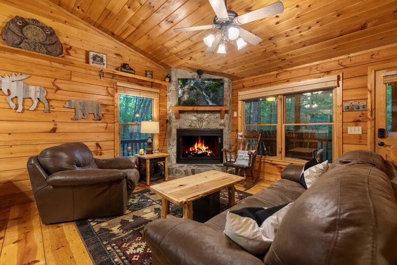 Bear Holler - Cherry Log, Georgia