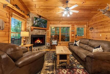 Bear Holler - Cherry Log, Georgia