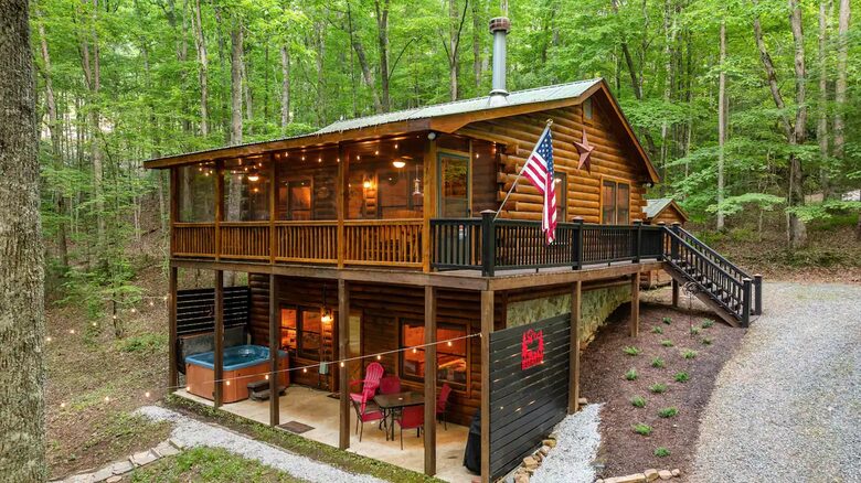 Bear Holler - Cherry Log, Georgia