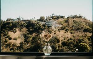 Custom Studio City Hillside Oasis with Pool and Recording Studio - Studio City, California