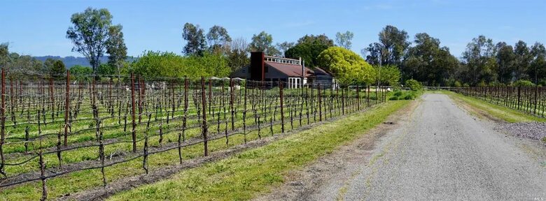 Napa Valley Vineyard Estate - Saint Helena, California