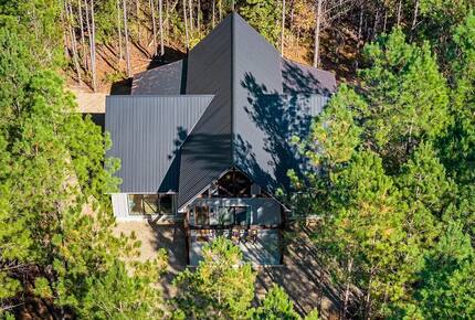 Bearly Behavin - Broken Bow, Oklahoma