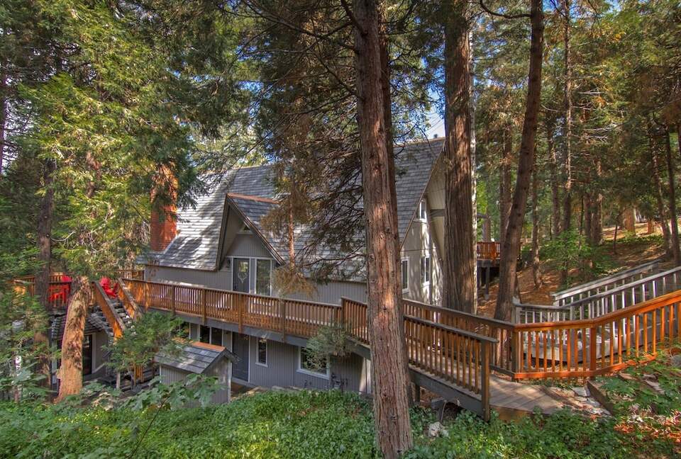 Fallen Timber - Lake Arrowhead, California