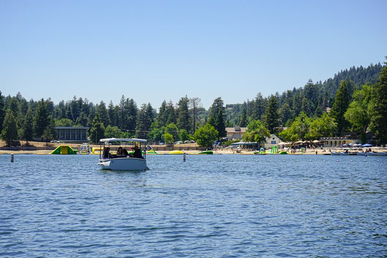Fallen Timber - Lake Arrowhead, California