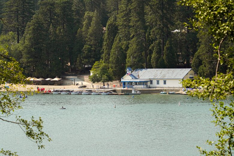 Fallen Timber - Lake Arrowhead, California