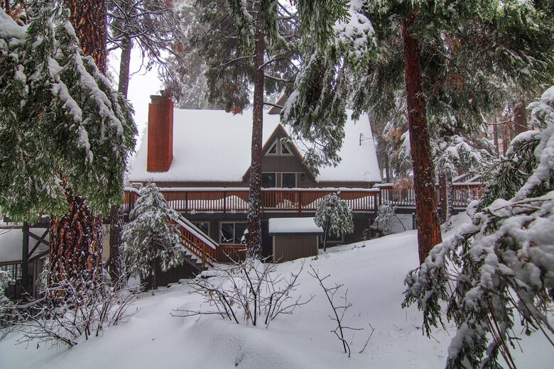 Fallen Timber - Lake Arrowhead, California