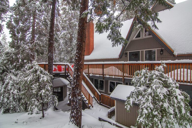 Fallen Timber - Lake Arrowhead, California