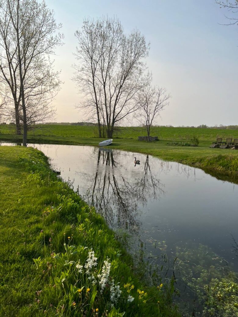 Spring pond