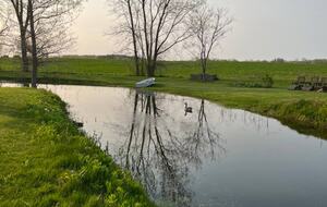 Spring pond