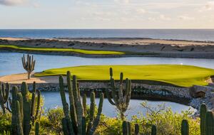Master Suite (One Bedroom) l Grand Solmar Pacific Dunes - Cabo San Lucas, Mexico