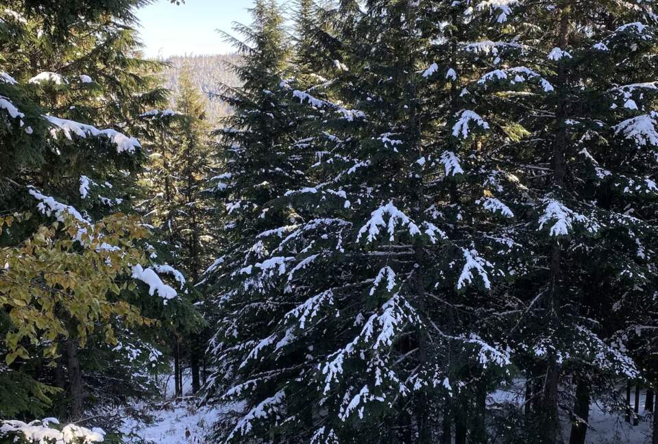 Schweitzer Mountain Cabin - Sandpoint, Idaho