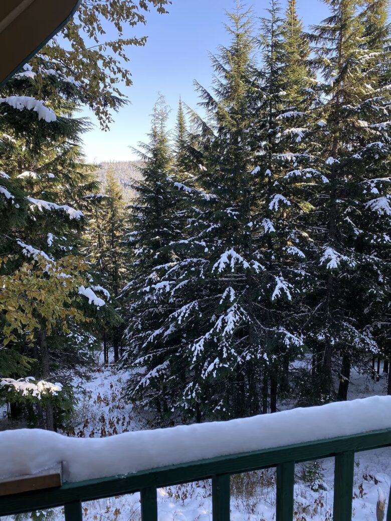 Schweitzer Mountain Cabin - Sandpoint, Idaho