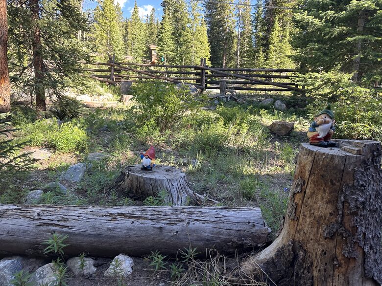 Large Log Home on a Private Acre with a Pond - Breckenridge, Colorado