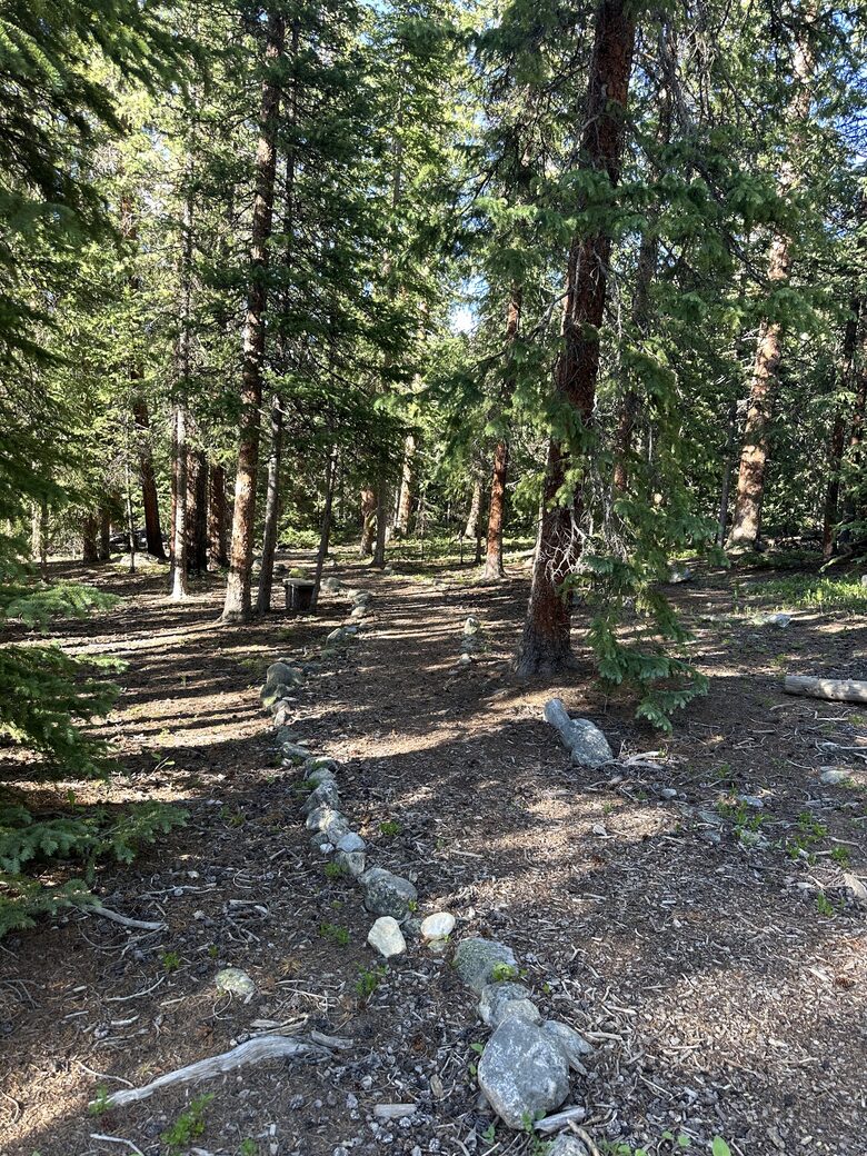 Large Log Home on a Private Acre with a Pond - Breckenridge, Colorado