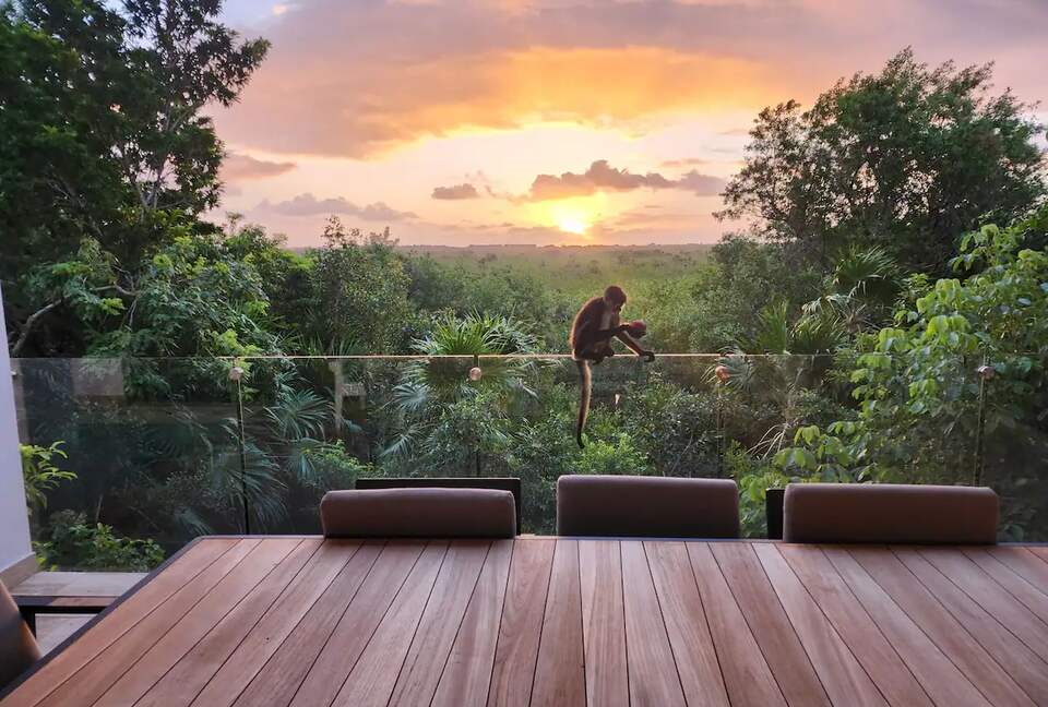 Serenity in the Jungle - Puerto Morelos, Mexico